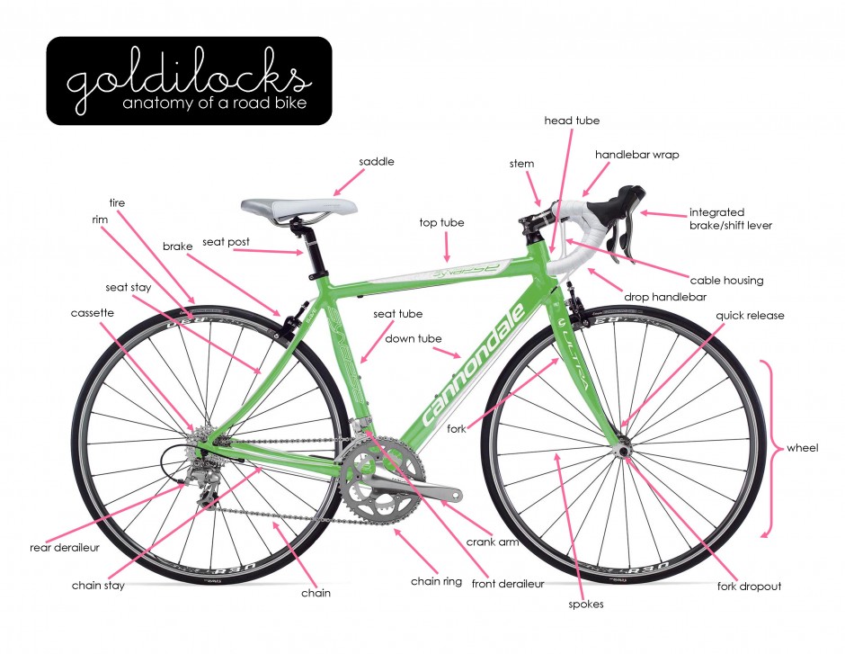 Anatomy of a Road Bike
